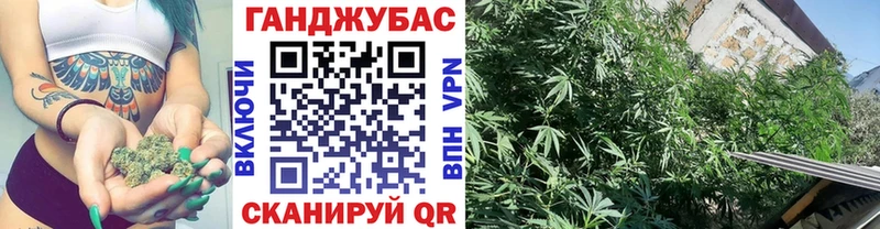 как найти наркотики Поворино Бошки марихуана гибрид